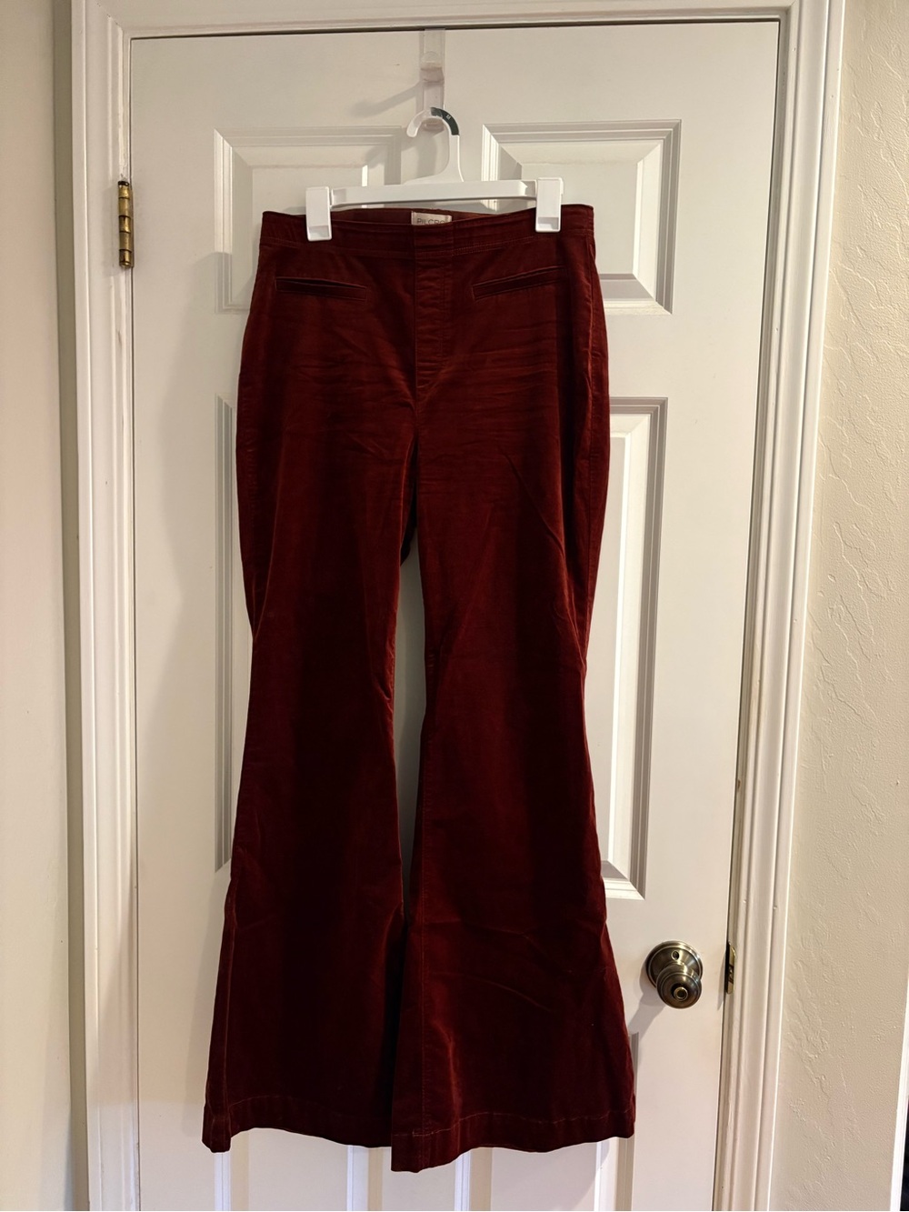 Pilcro Velvet Flare Pants in Deep Wine